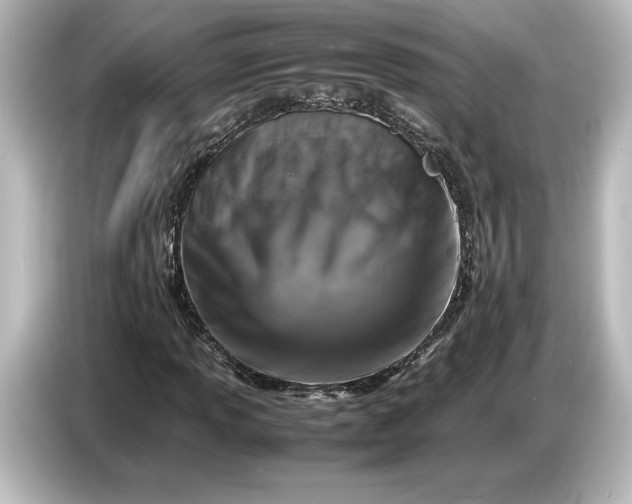 X0000087051013200705021152