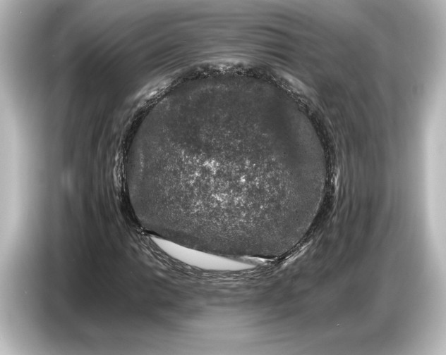 X0000087051014200705021152