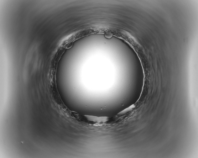 X0000087051016200705021152