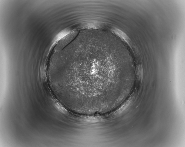 X0000087051018200705021152