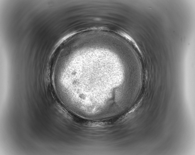 X0000087051019200705021152