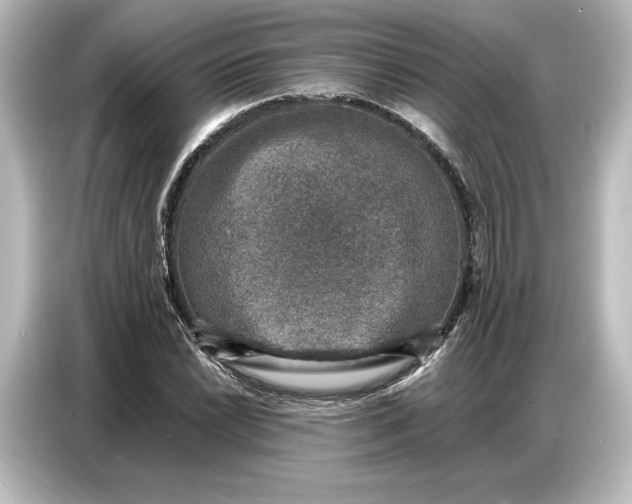 X0000087051022200705021152