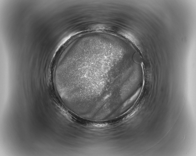 X0000087051023200705021152