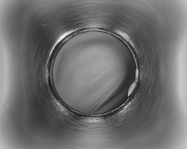 X0000087051024200705021152