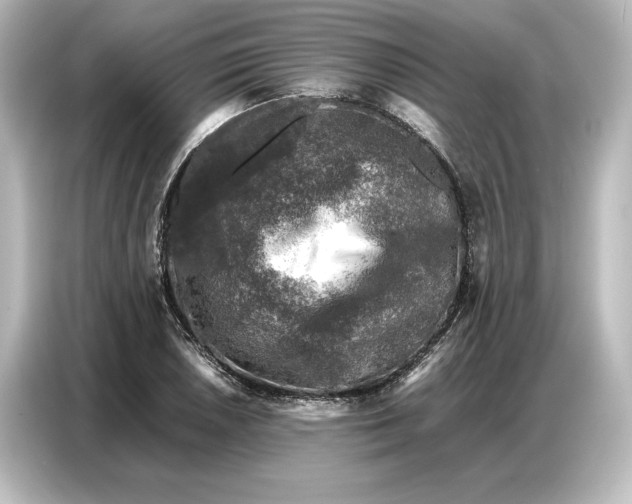 X0000087051026200705021152