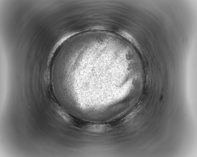 X0000087051027200705021152