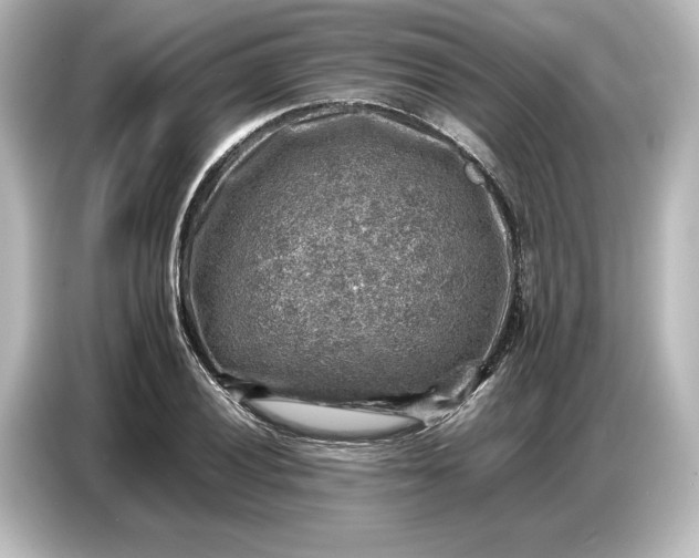 X0000087051028200705021152