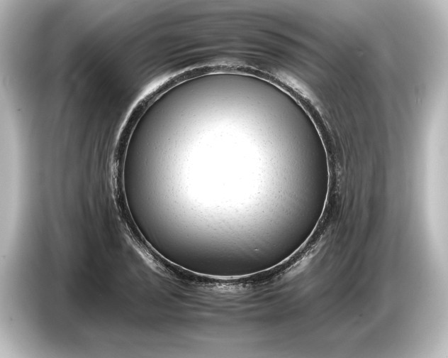 X0000087051029200705021152