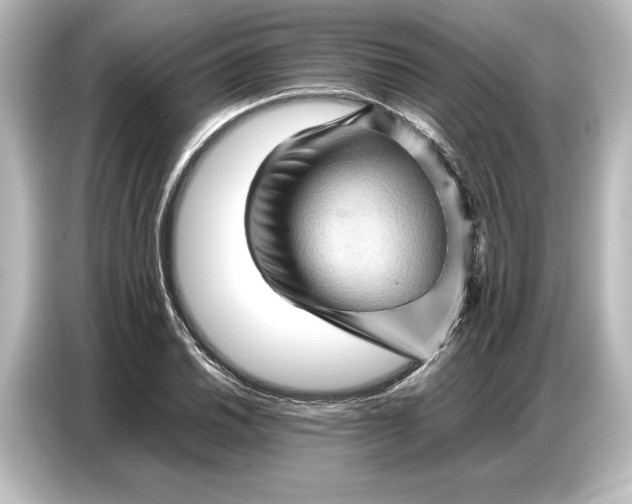 X0000087051030200705021152