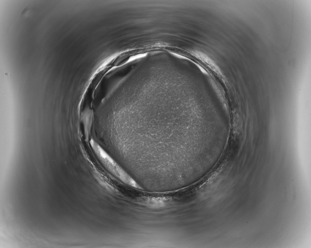 X0000087051031200705021152