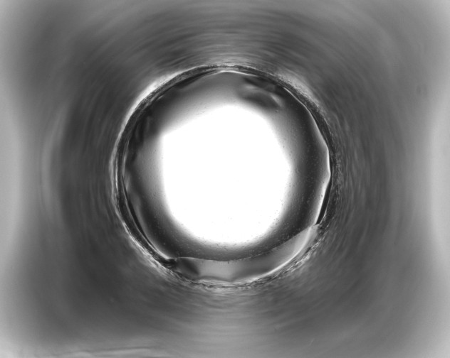 X0000087051032200705021152