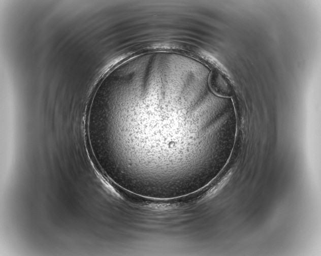 X0000087051033200705021152