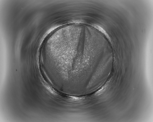 X0000087051035200705021152