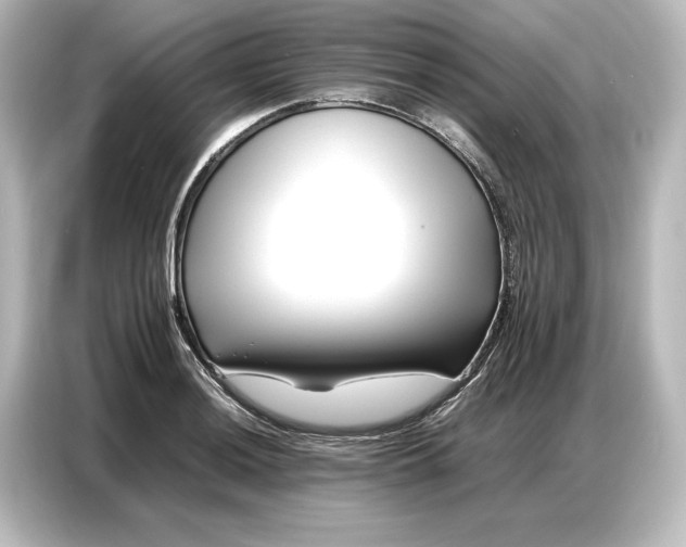 X0000087051036200705021152