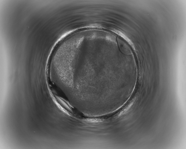 X0000087051037200705021152