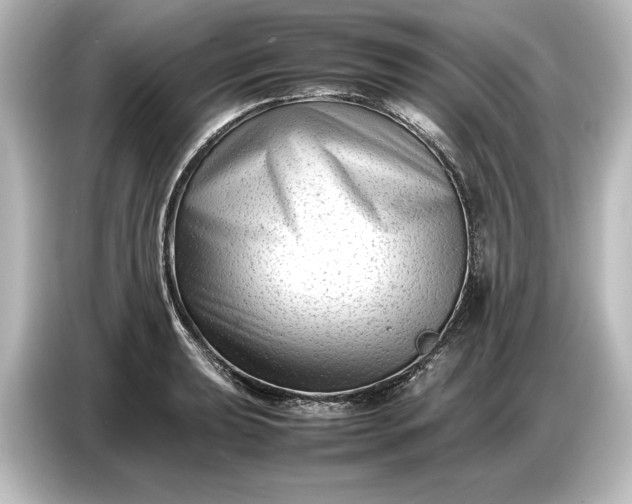 X0000087051039200705021152