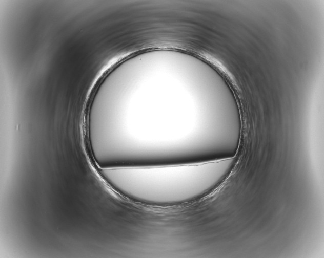 X0000087051040200705021152