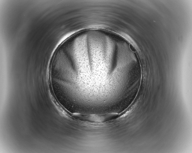 X0000087051044200705021152