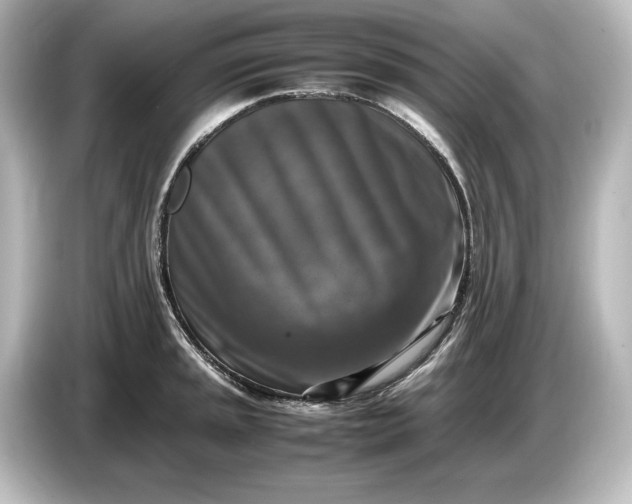 X0000087051045200705021152