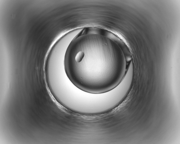 X0000087051046200705021152