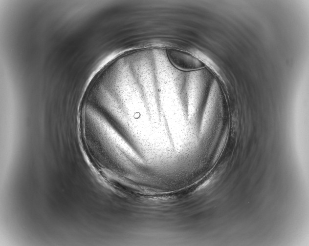 X0000087051047200705021152