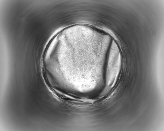 X0000087051048200705021152