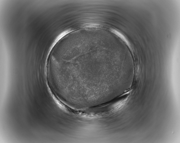 X0000087051050200705021152