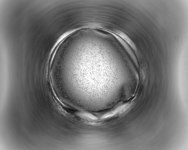 X0000087051052200705021153