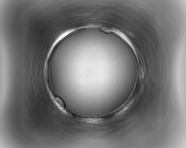 X0000087051053200705021153