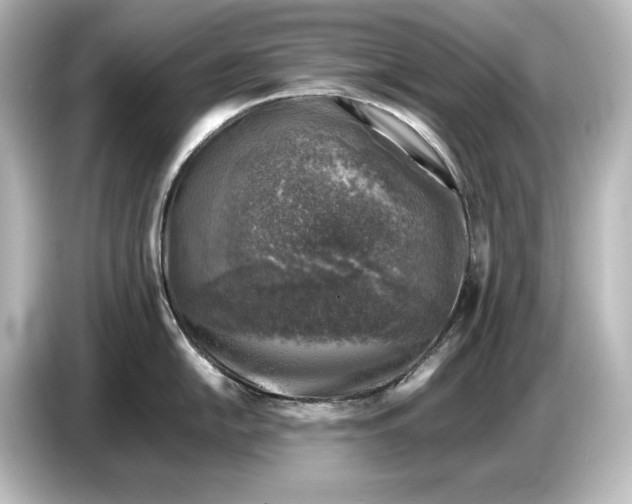 X0000087051054200705021153