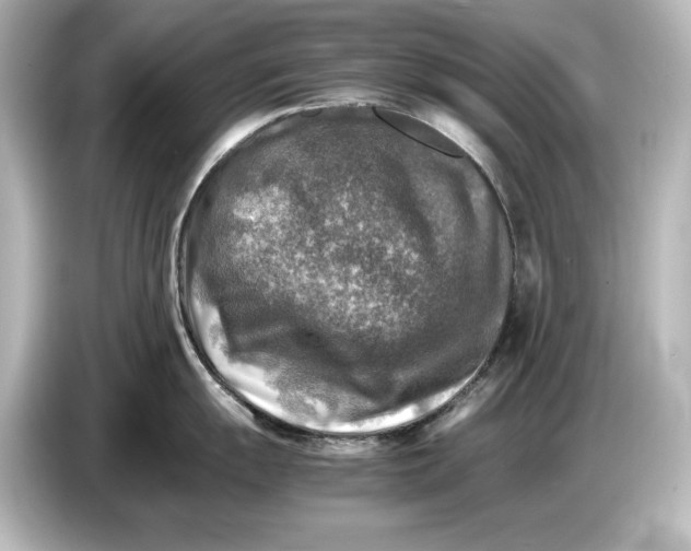 X0000087051055200705021153