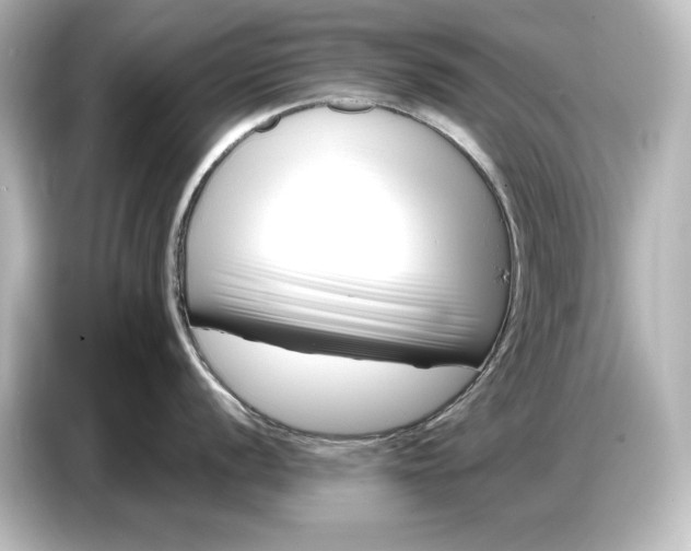 X0000087051056200705021153