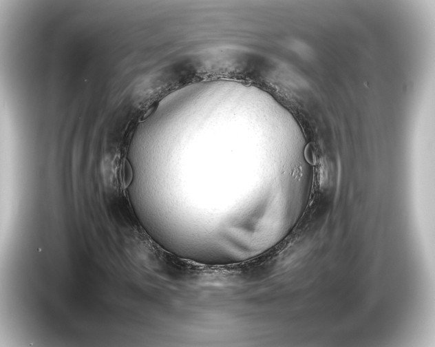 X0000087051059200705021152