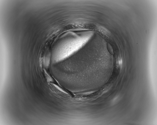 X0000087051060200705021152