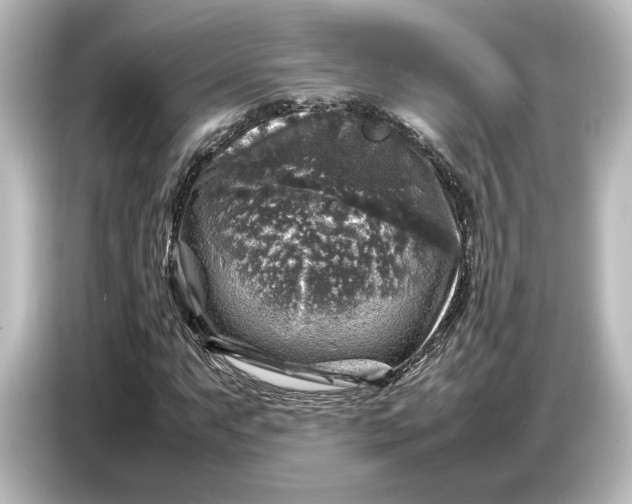 X0000087051063200705021152