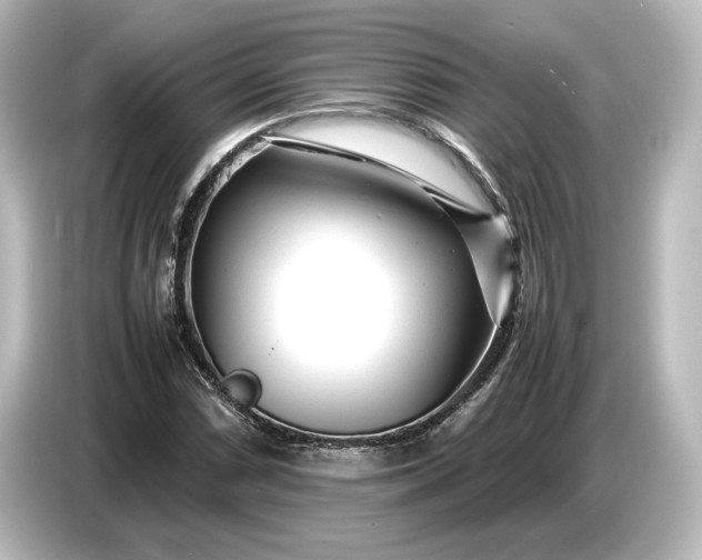 X0000087051066200705021152