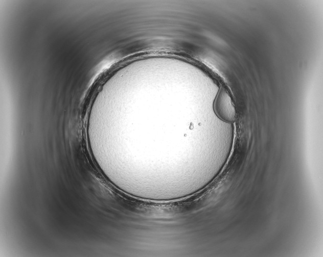 X0000087051067200705021152