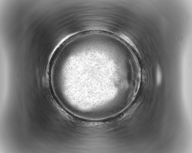 X0000087051068200705021152