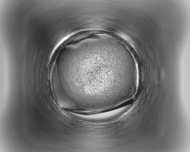 X0000087051069200705021152