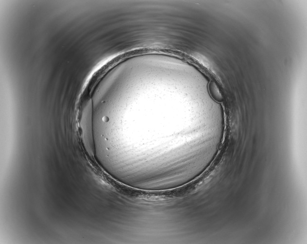 X0000087051070200705021152