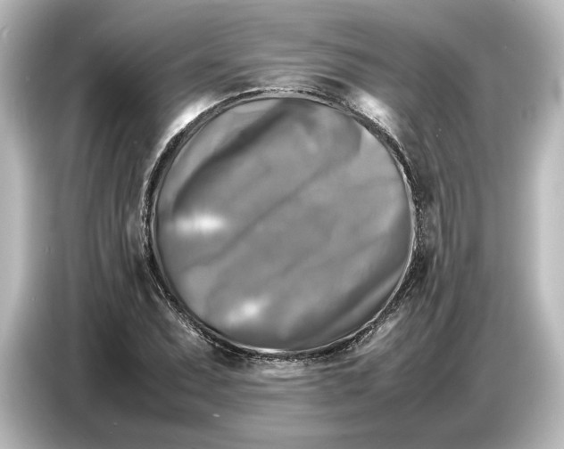 X0000087051071200705021152