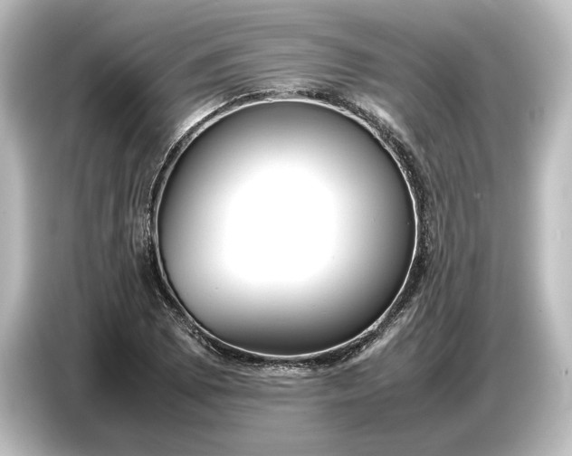 X0000087051073200705021152