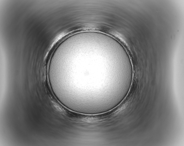 X0000087051075200705021152