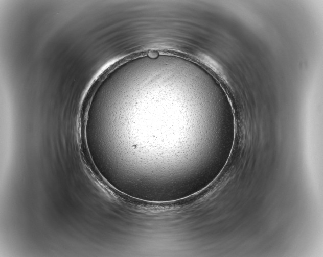 X0000087051076200705021152