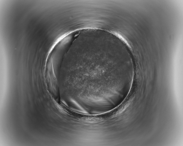 X0000087051077200705021152