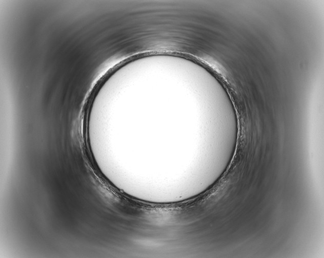 X0000087051078200705021152