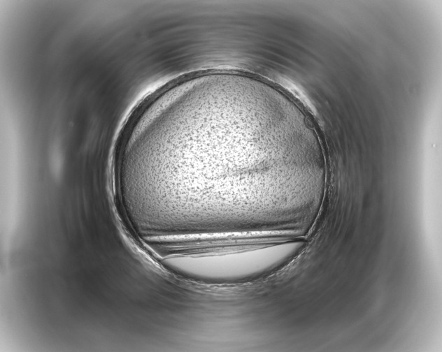 X0000087051080200705021152