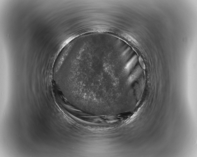 X0000087051081200705021152