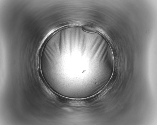 X0000087051083200705021152