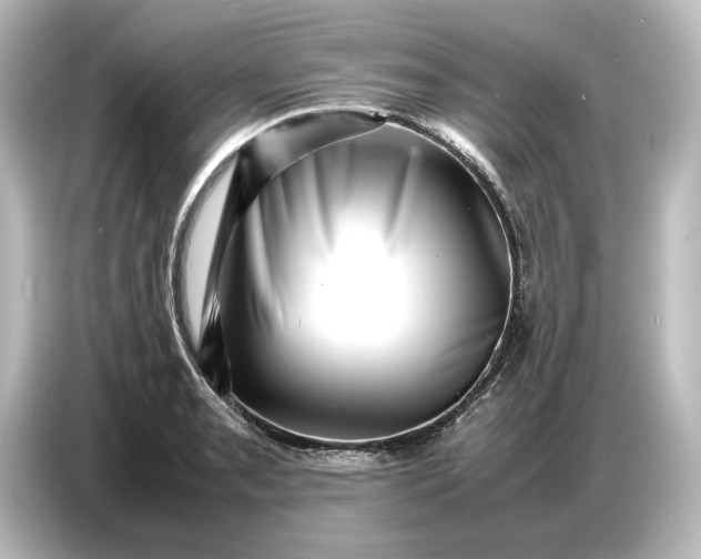 X0000087051085200705021152